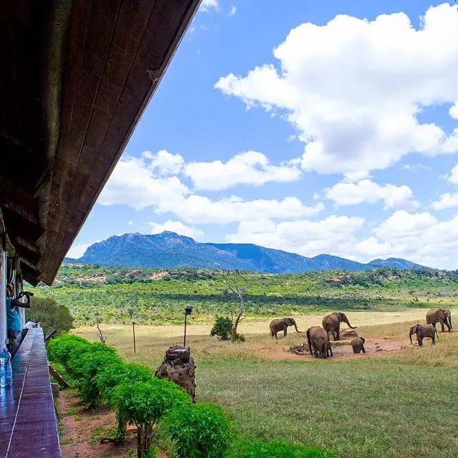 Ngulia Safari Lodge
